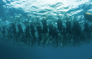 Screen-shot-2014-02-25-at-09.26.32