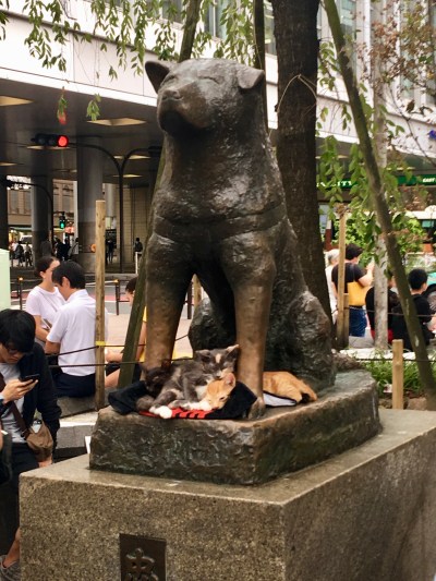 Hachiko Statue at Shibuya Station